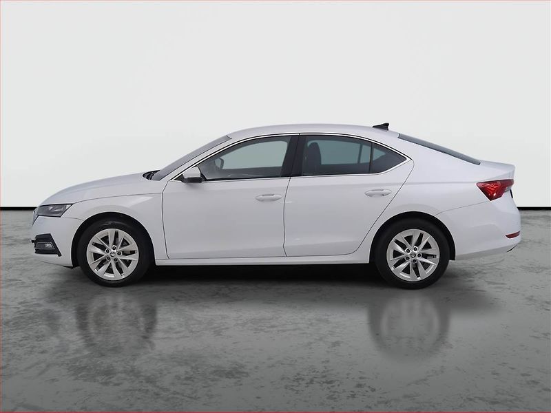 Škoda Octavia (2023) 2.0 TDI, ČR,1.maj, Kůže - fotka 3 z 19