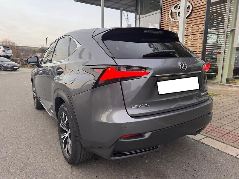 Lexus NX 300h 300h - fotka 5 z 7