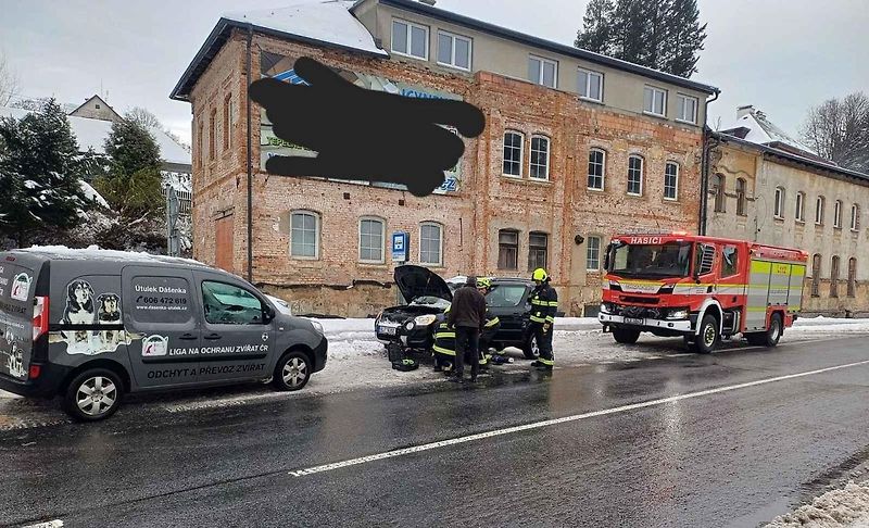 Záchrana kocoura v Lučanech nad Nisou.