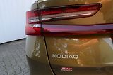 Škoda Kodiaq (2025) Exclusive Selection 4X4 2,0 TD - náhled 15