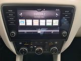 Škoda Octavia (2018) 1.0 TSI, Tempomat - náhled 12