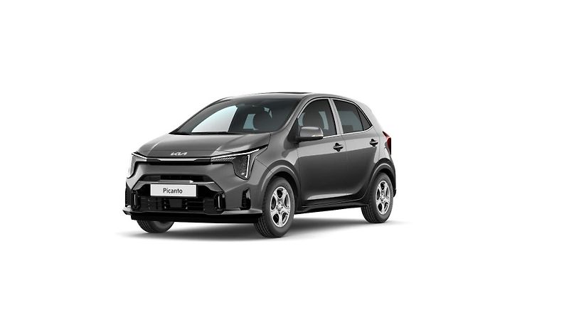Kia Picanto Comfort 1.0 GDi 5AMT - fotka 1 z 5