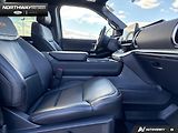 Ford Expedition (2025) Tremor AWD  - náhled 10