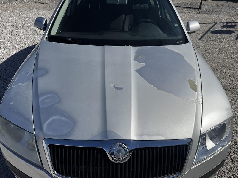 Škoda Octavia (2004) II, 1.6MPi,rezervace - fotka 8 z 32