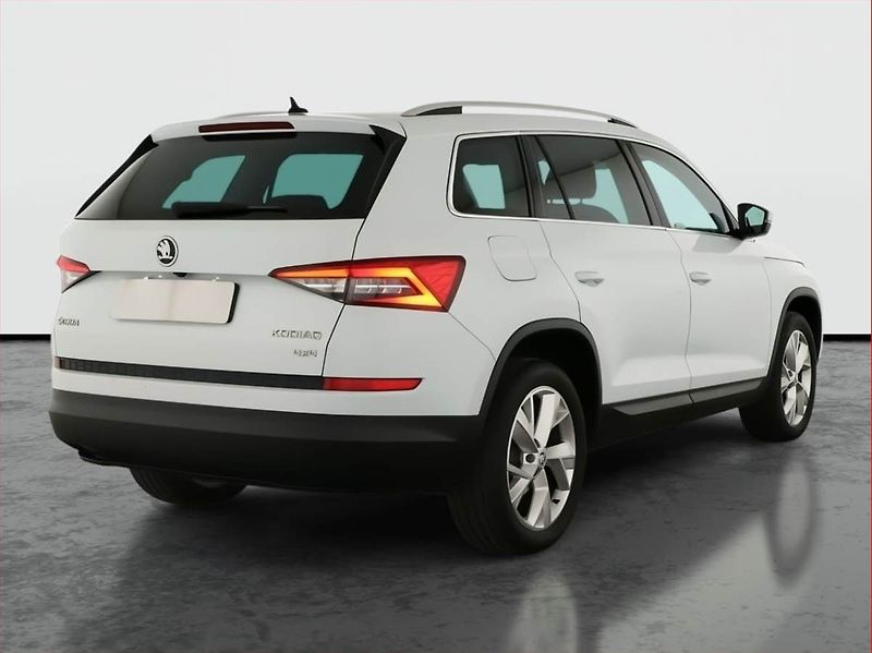 Škoda Kodiaq (2018) 2.0 TDI 4x4, 4X4, Automat - fotka 5 z 22