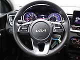 Kia XCeed 1,5 T-GDI 117kW Exclusive DPH - náhled 17