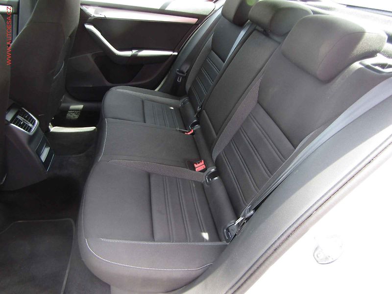 Škoda Octavia (2019) 2.0 TDI, ČR, Style - fotka 10 z 21