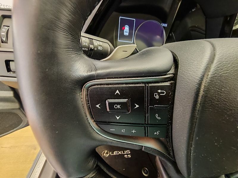 Lexus ES 300h 300h Luxury - fotka 34 z 49