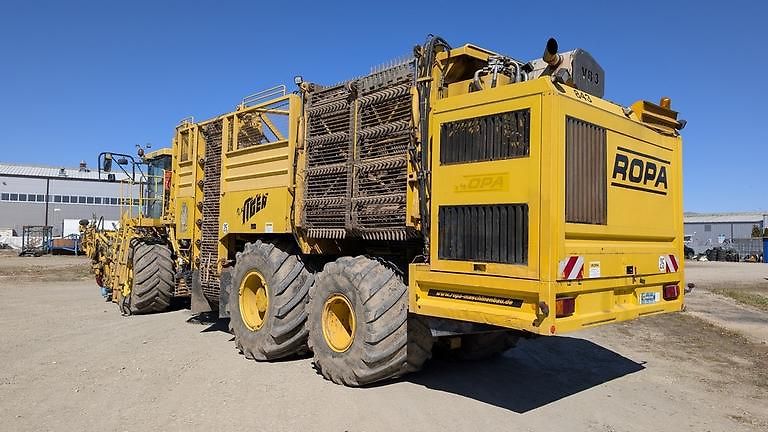 Ostatní (2012) ROPA TIGER V8-3 beet harvester - fotka 3 z 22