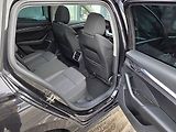Škoda Octavia (2021) 2.0 TDI DSG 110kW Style - náhled 50