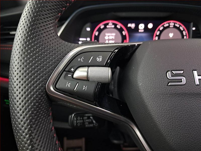 Škoda Octavia (2025) RS 2.0 TSI, RS, KAMERA - fotka 18 z 20