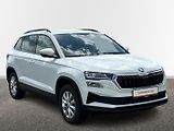 Škoda Karoq DSG SELECTION - náhled 14