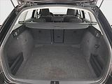 Škoda Octavia (2016) 1.4 TSI, Tempomat - náhled 13