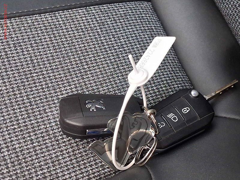 Peugeot 3008 (2020) 1.5HDi, AC, tempo, kamera - fotka 19 z 20