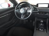 Mazda 3 (2019) 2.0 Skyactiv-G, ČR,1.maj, Navi - náhled 7