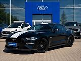 Ford Mustang 5,0 GT V8 330kW 55YearsEdition - náhled 1