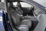 Audi S5 V6 TFSI 260kW *bezOPF*KAMERA* - náhled 14