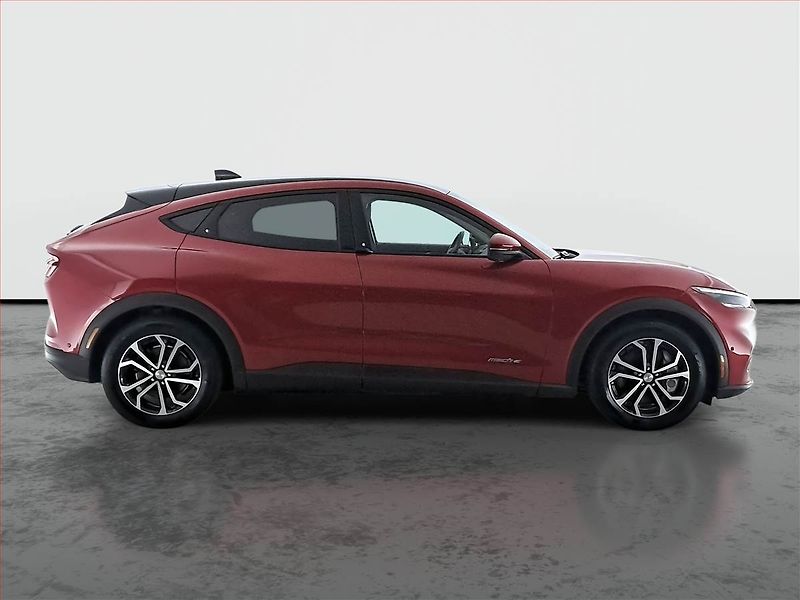 Ford Mustang Mach-E (2022) Standard Range RWD, SoH 93% - fotka 6 z 18