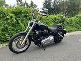 Harley-Davidson FXST Softail Standard (2020) - náhled 3