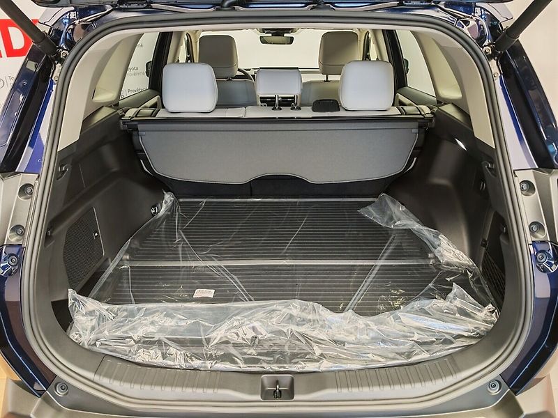 Toyota RAV4 2.5 Hybrid e-CVT 4x4 Executive - fotka 9 z 43