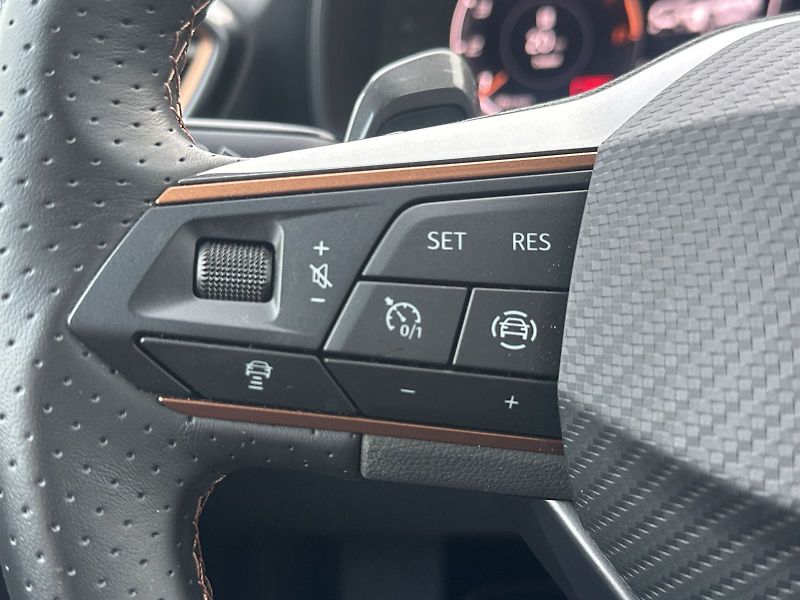 Cupra Formentor (2024) 2.0 TSI 4Drive DSG - fotka 19 z 35