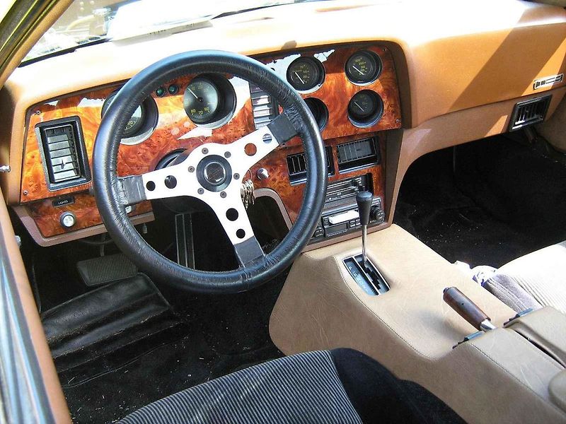 Byl to vůz, který měl velké ambice. Od začátku výroby automobil Bricklin SV-1 provázely problémy. Mělo jednat o bezpečné vozidlo, avšak cesta na vrchol pro něj byla příliš trnitá.