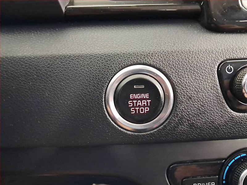 Kia Niro (2019) Hybrid, Automat, Serv.kniha - fotka 19 z 22
