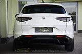 Alfa Romeo Stelvio 2.2 Diesel 16V 154kW Veloce Q4 - náhled 4