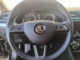 Škoda Superb (2019) 2.0TDI, ČR, Ambition, DSG - náhled 19