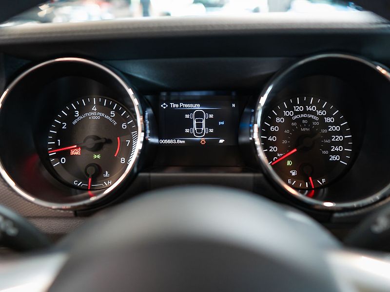 Ford Mustang (2016) 5.0 V8 GT California Special - fotka 21 z 30