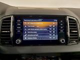 Škoda Karoq (2024) 2.0 TDI 110 kW DSG 4x4 Top Sel - náhled 13