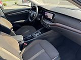 Škoda Octavia (2022) SCOUT 4x4 2.0 TDI 110 kW - náhled 19