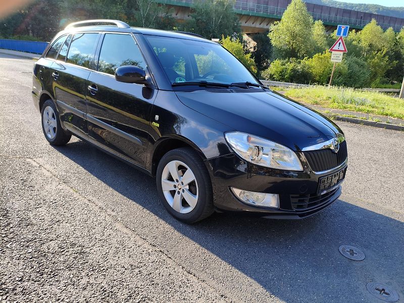 Škoda Fabia (2014) 1,2 TSI Style Fresh Combi - fotka 4 z 30