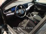 Škoda Octavia (2020) 2.0 TD, ČR - náhled 2
