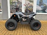 Linhai (2026) ATV 110 - náhled 1