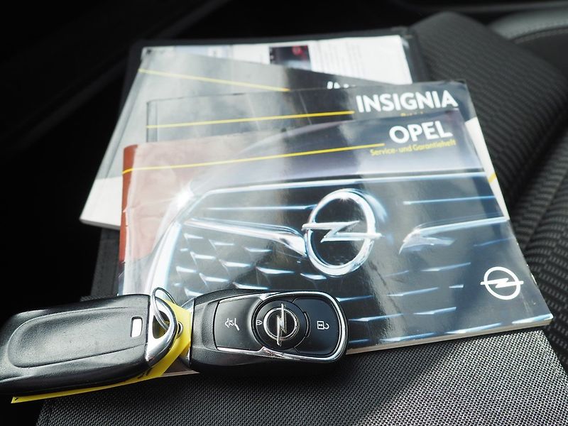 Opel Insignia (2018) Turbo D4x4, 125 kW - fotka 41 z 43