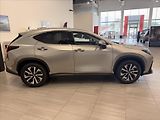 Lexus NX 350h (2025) 2,5 Executive  NX - náhled 6