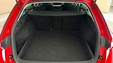 Škoda Octavia 2.0 TDI DSG Style Combi - náhled 17
