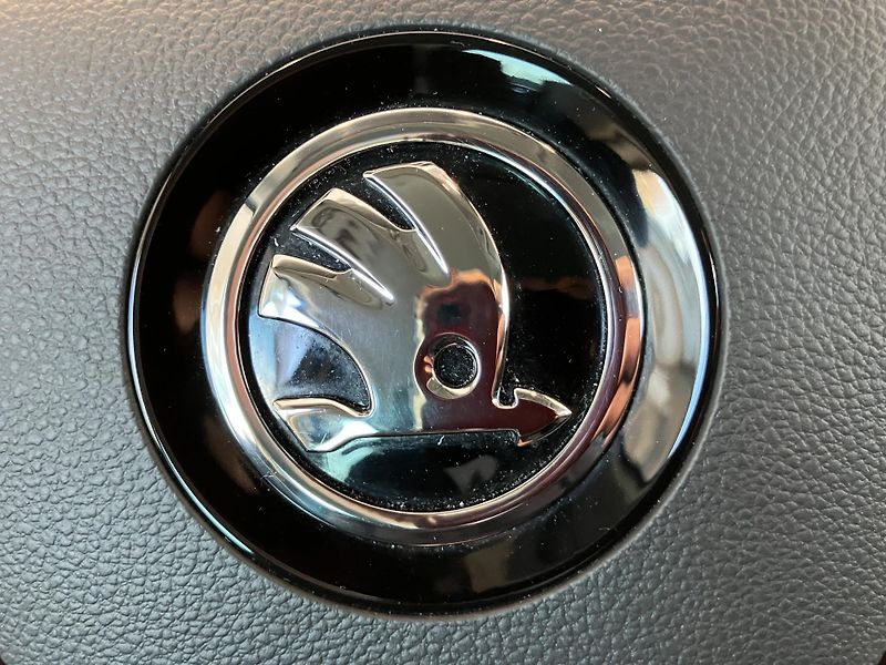 Škoda Superb  2.0 TDI 110kW Style DSG AT7 - fotka 38 z 38