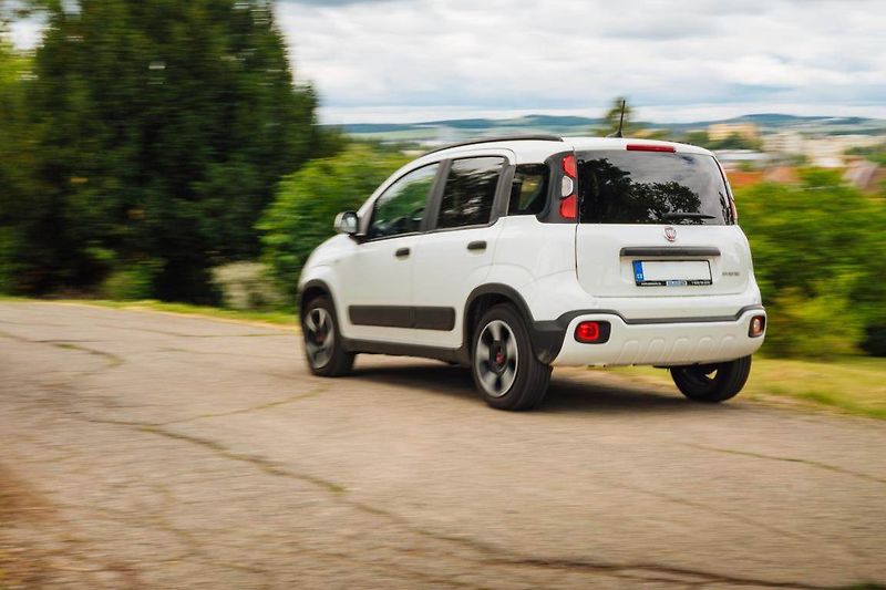 Fiat Panda (2024) City Life 1.0 FireFly - fotka 24 z 24