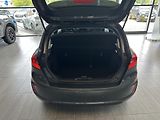 Ford Fiesta Trend 1.0 EcoBoost 95k man - náhled 7