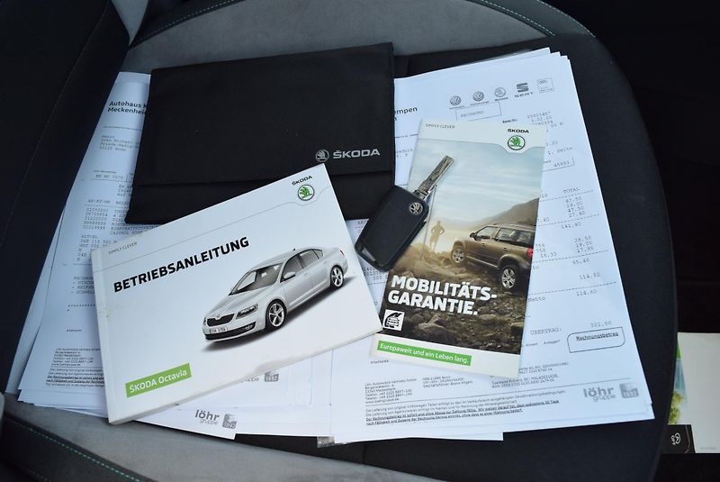 Škoda Octavia (2017) 1.4TSI 110kw AMBITION JOY XENO - fotka 49 z 49