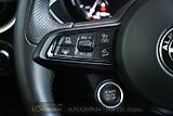 Alfa Romeo Stelvio 2,2 D 16V 210k Veloce AT8-Q4 - náhled 28