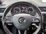 Škoda Octavia TDi RS,CEBIA *SERV.KNÍŽKA*  - náhled 41