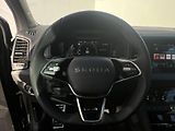 Škoda Karoq (2025) Sportline 7DSG 1,5TSI - náhled 10