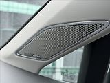 Volkswagen Golf VIII 2.0 TDI Alltrack 4Motion/ - náhled 22