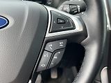 Ford S-MAX (2021) 2.0 Ecoblue 110kW, ČR, 1.maj, - náhled 18