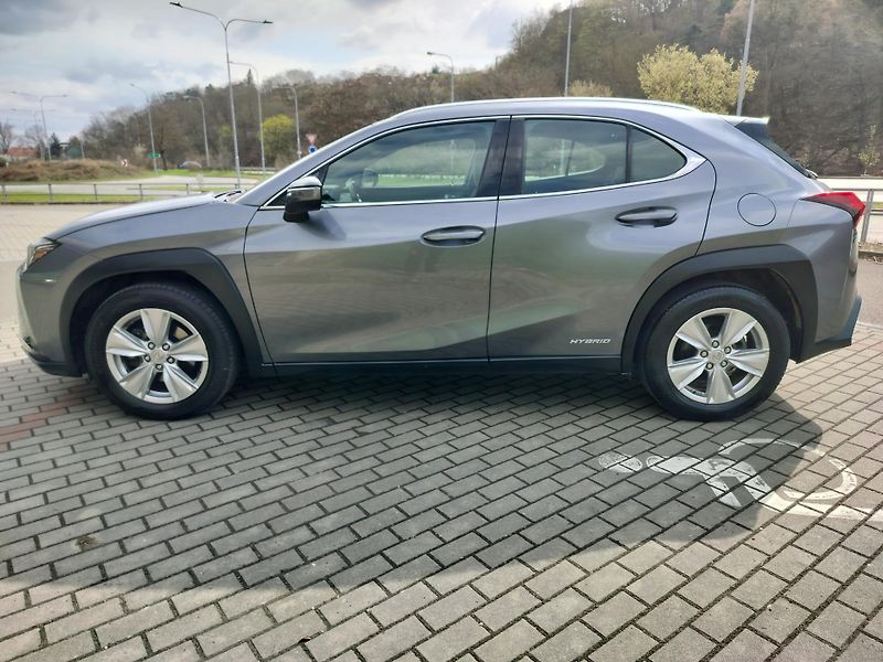 Lexus UX 250h BUSINESS edition,alcantara - fotka 4 z 24