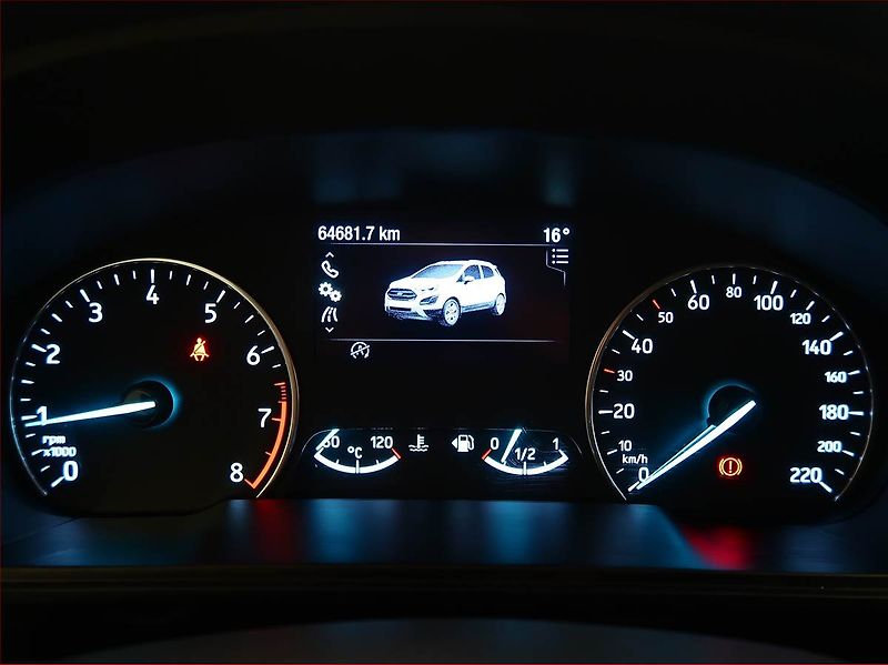 Ford EcoSport (2020) 1.0 EcoBoost, Navi, Tempomat - fotka 11 z 17