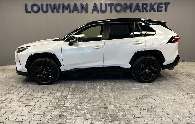 Toyota RAV4 2.5 Hybrid AT SELECTION SKYVIE - fotka 3 z 19